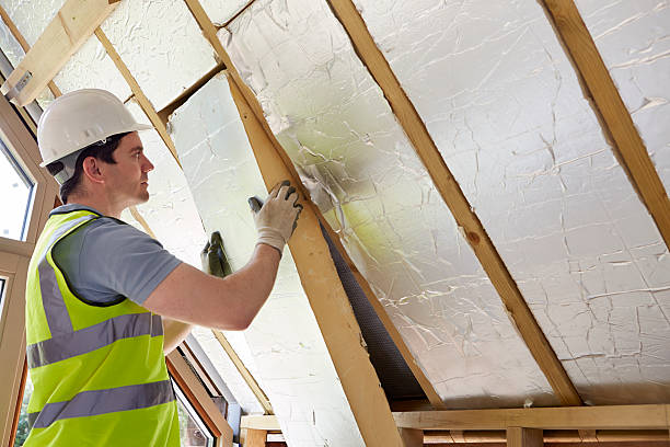 Best Attic Insulation Installation  in Kendallville, IN